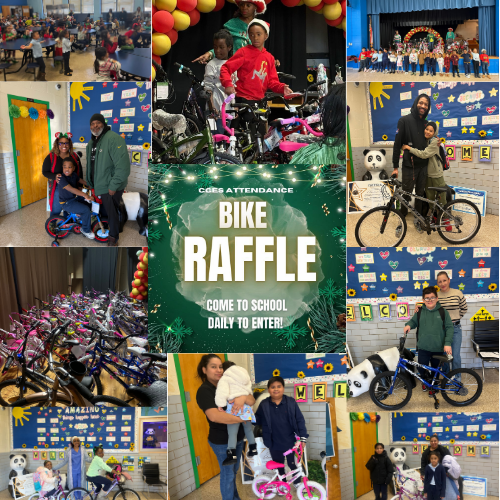 bike raffle collage