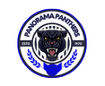 Panorama-Elementary-logo